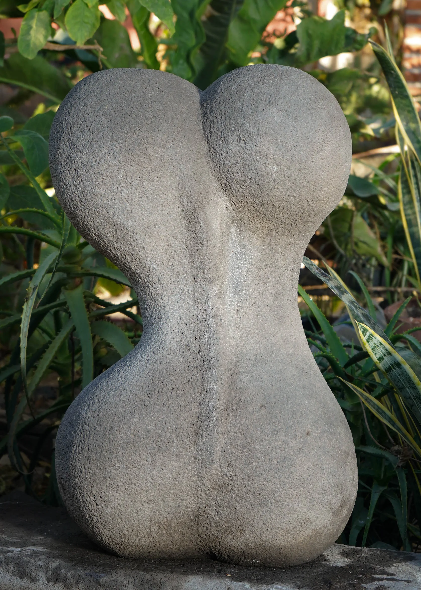 Vista trasera