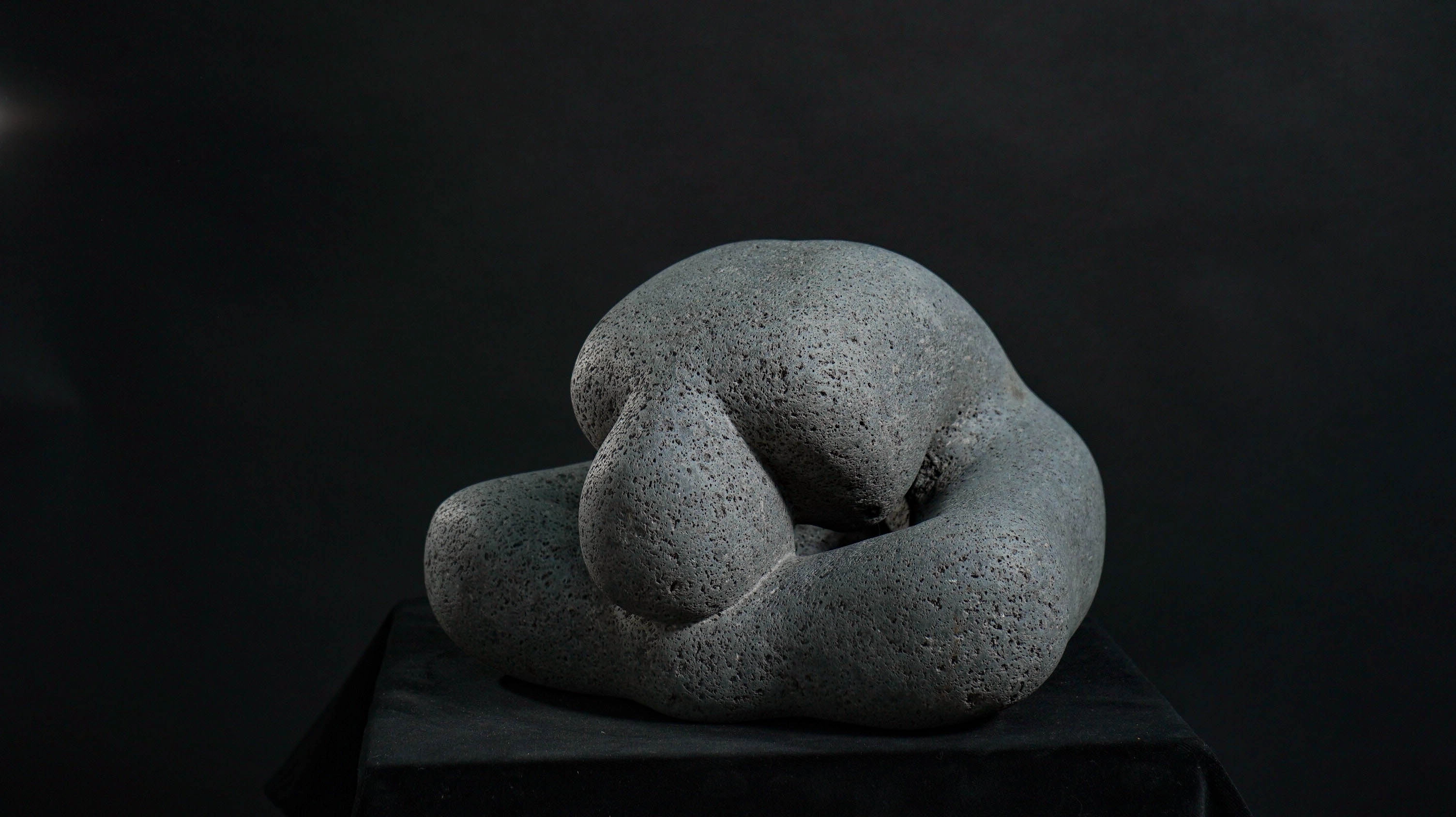 Evolución — perspectiva