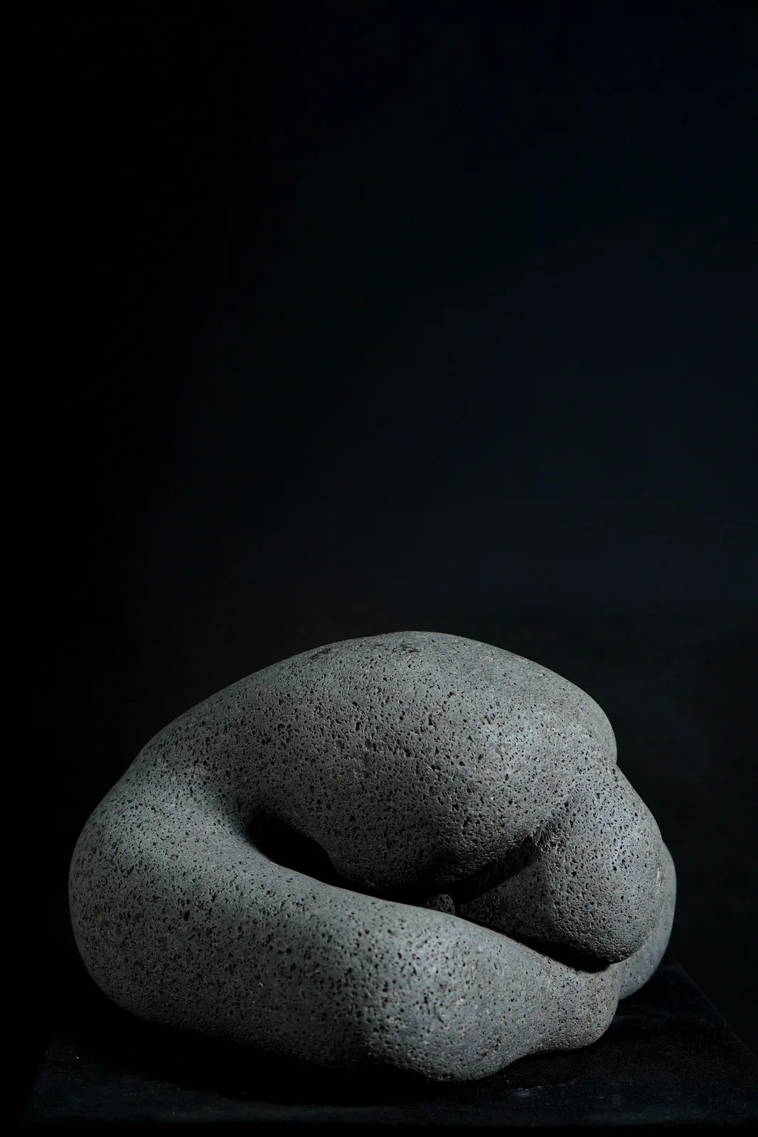 Evolución — recinto negro